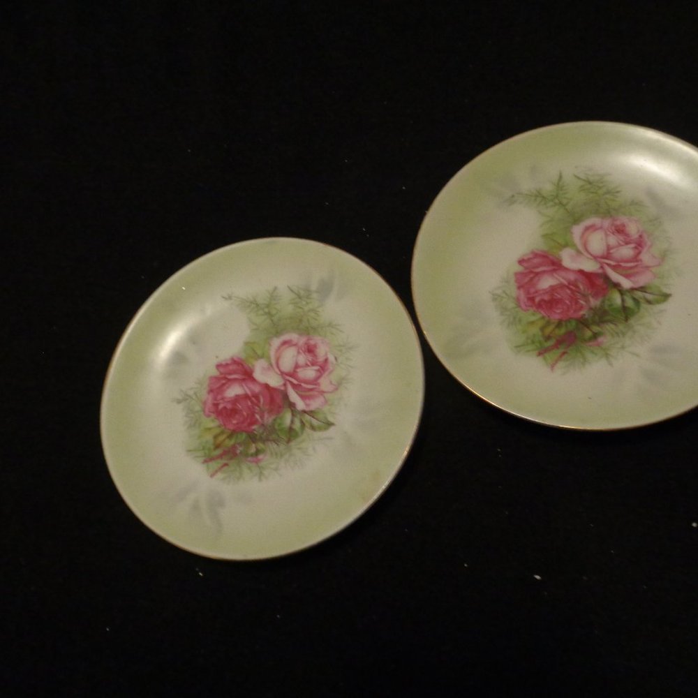 QUIET LUXURY 2 OLD & EARLY GERMANY SMALL FLORAL PLATES